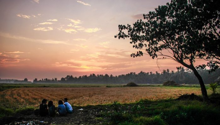 seyala myanmar